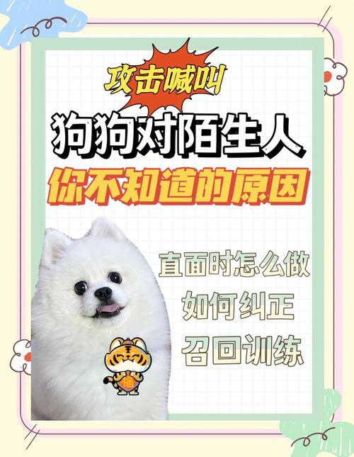 为什么狗狗玩着要冲你叫