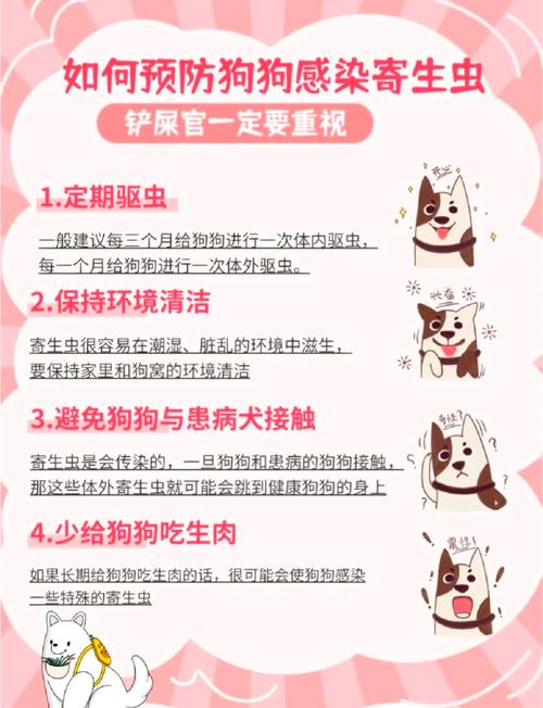 狗狗哺乳期可以驱虫吗