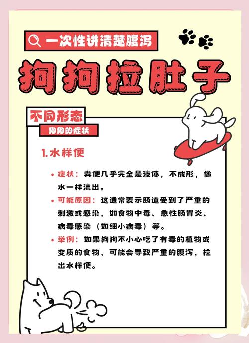 小奶狗拉稀怎么办