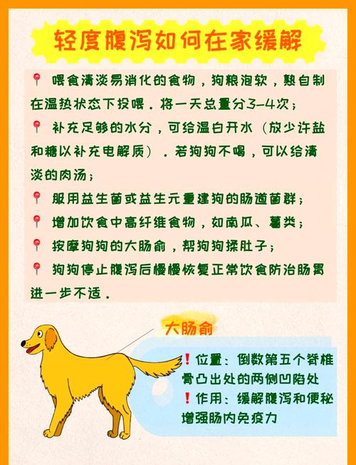 小狗拉稀吐黄怎么办?