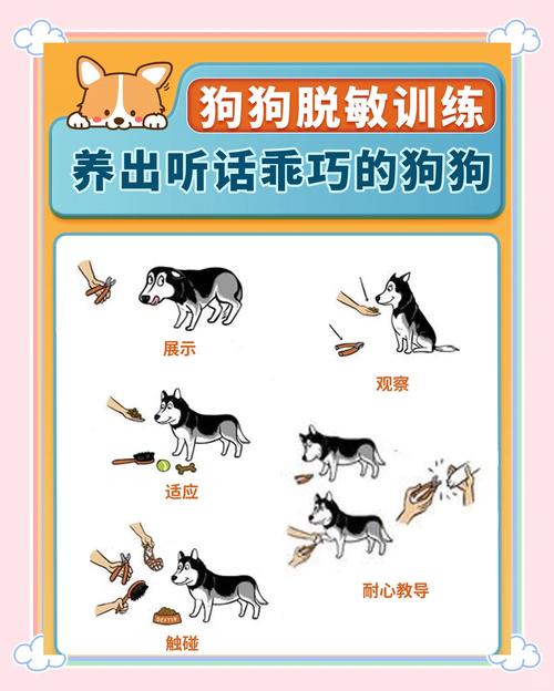 胆子小的狗真不好养