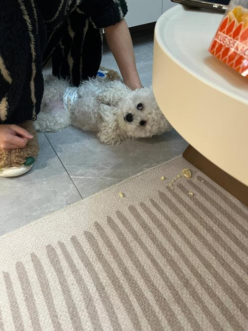 狗吃大蒜会怎么样?