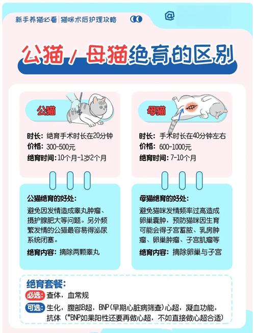 什么时候适合给猫做绝育