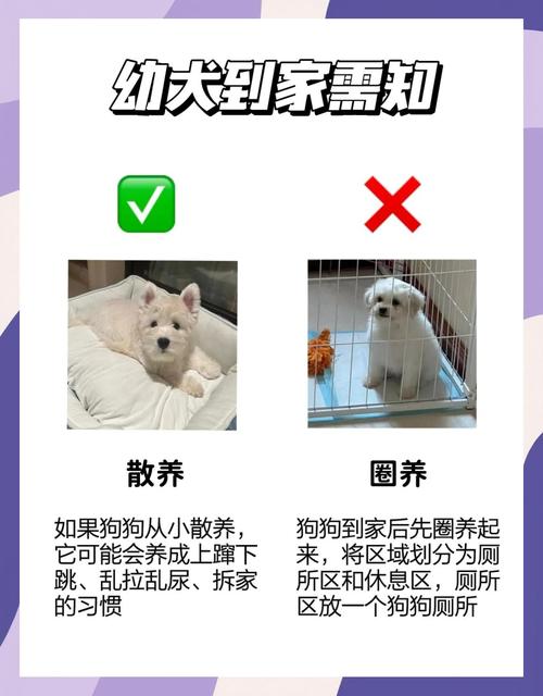 小狗出生多久驱虫比较好啊