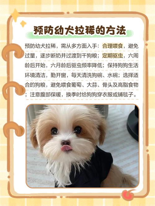 狗狗拉肚子可以洗澡吗