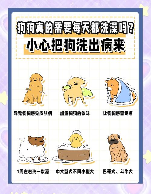 狗狗拉肚子能洗澡吗