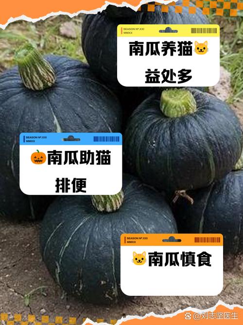 猫吃南瓜好处和坏处
