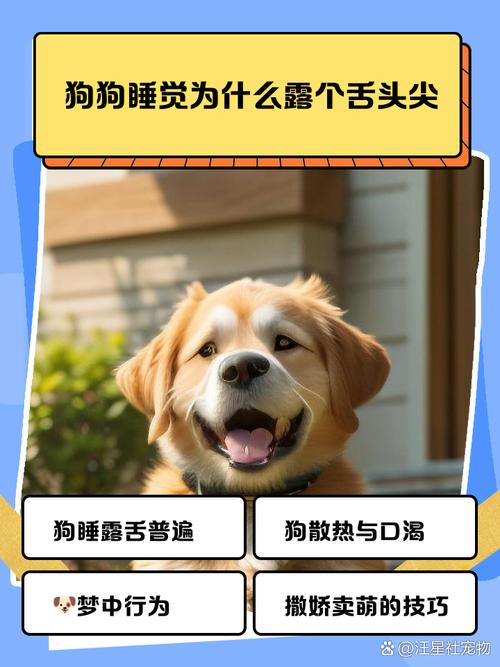 狗狗为什么老是伸出舌尖