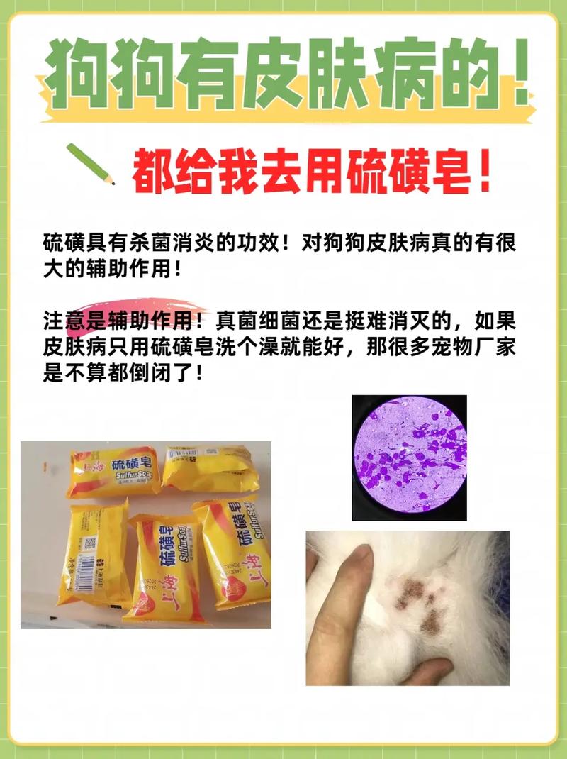 我家狗狗身上总痒,用硫磺皂洗行吗