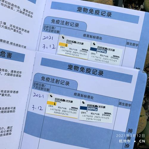 狗狗疫苗什么时候开始打