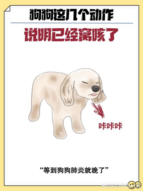 狗狗咳嗽干呕能自愈吗?