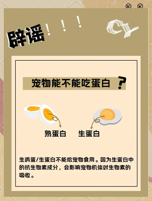 狗狗能吃煮熟的蛋白吗?