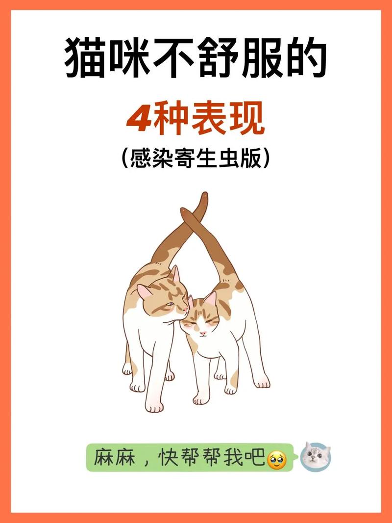 猫咪患有蛔虫寄生虫的症状有哪些?