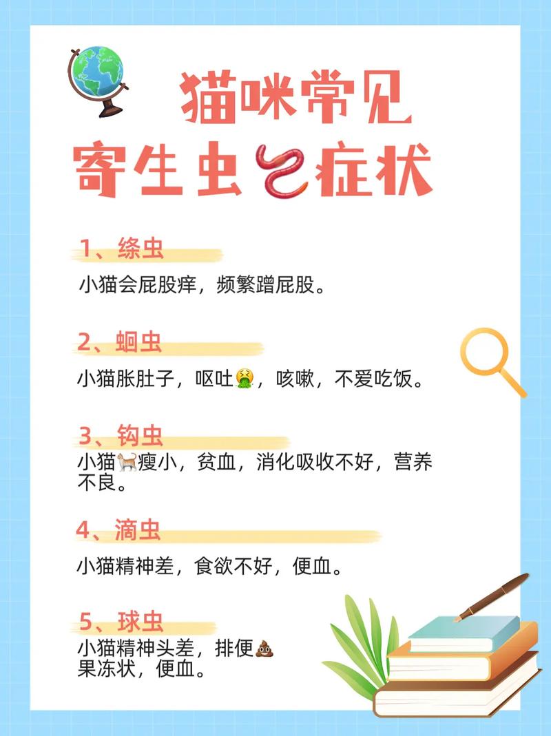 猫咪身上有寄生虫的表现