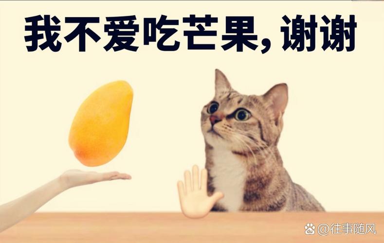 猫咪可以吃芒果吗?
