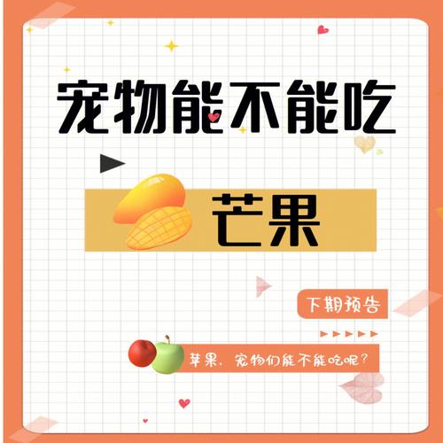 猫能不能吃芒果?