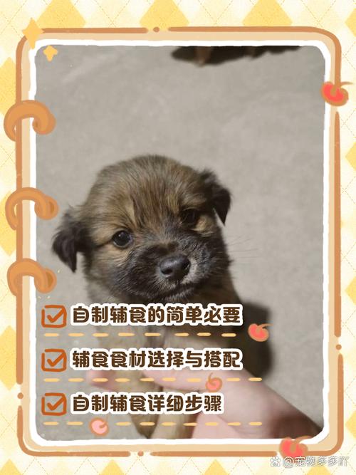 两个月的狗狗吃什么