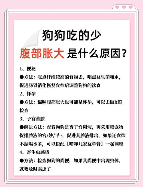 狗狗球虫引起的腹胀怎么治疗
