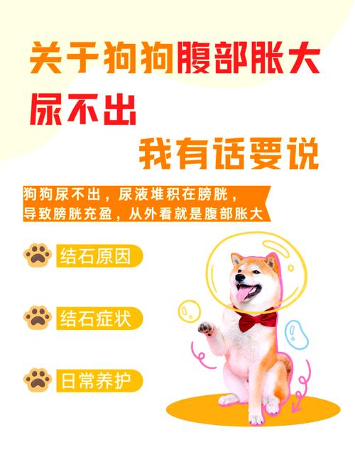 狗狗肚子胀的很大怎么办