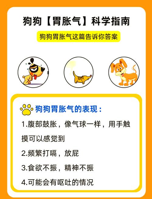 狗狗腹胀如鼓怎么办又不吃东西