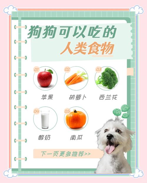 拉布拉多不喂狗粮,喂一般的米饭可以吗?