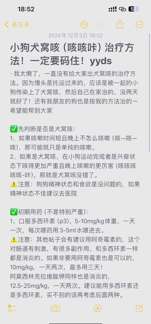 狗狗得了犬窝咳怎么在家治疗