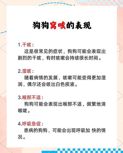 狗狗得了犬窝咳怎么治疗?