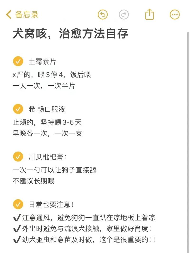 怀孕的狗得了窝咳