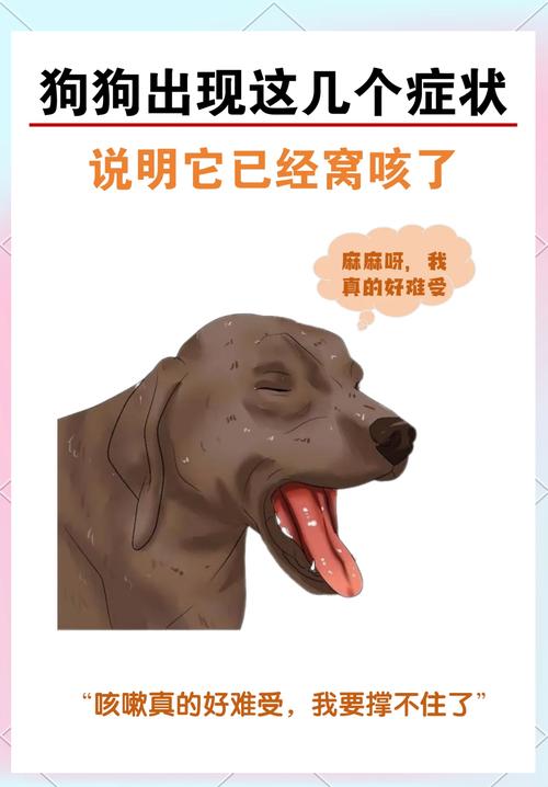 狗狗得了犬窝咳,能治好吗?