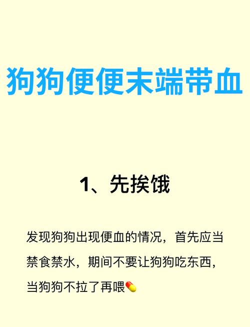 老年狗一天吃几个鸡蛋
