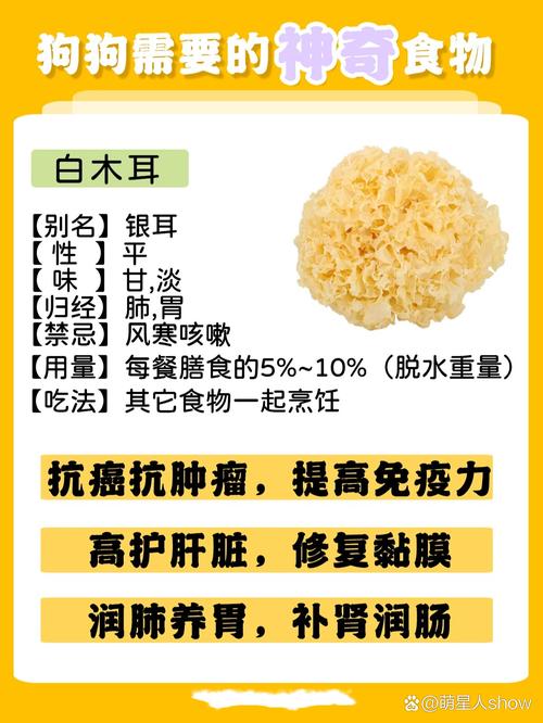 狗狗为什么不吃银耳