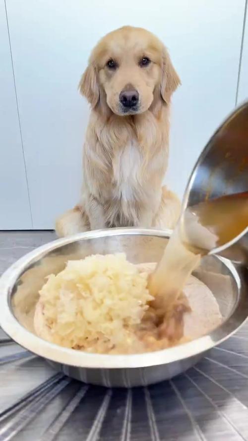 狗狗能不能喝银耳汤