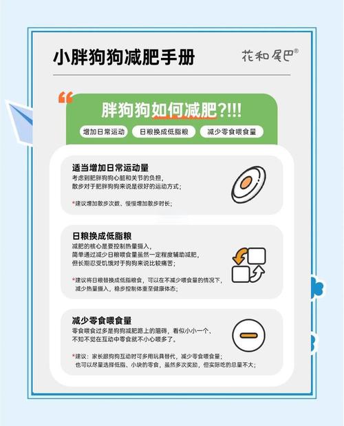 怎么把狗狗喂胖