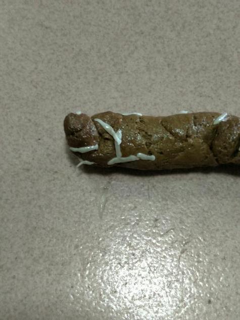 狗狗大便,拉出来有虫子(米状的),怎么办