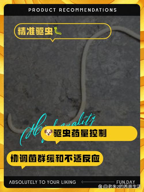狗拉的屎里面有白色的虫子怎么办