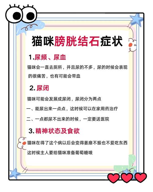 猫咪结石吃什么药好