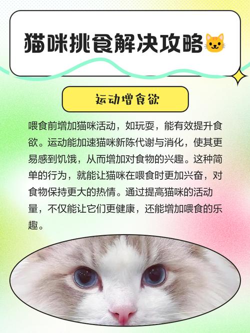 猫咪不小心吃了一个杏仁怎么办啊?
