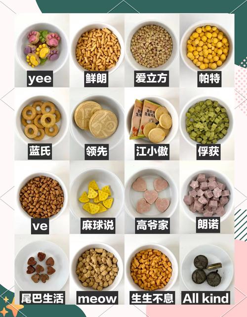 猫不小心吃了坚果怎么办