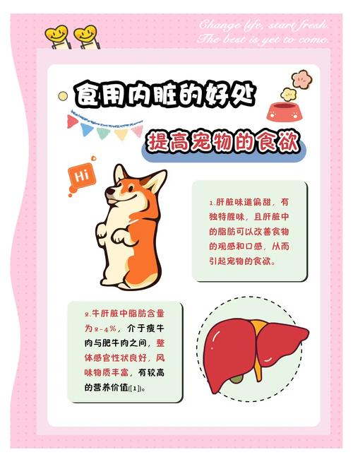 猫咪吃什么动物的内脏好?
