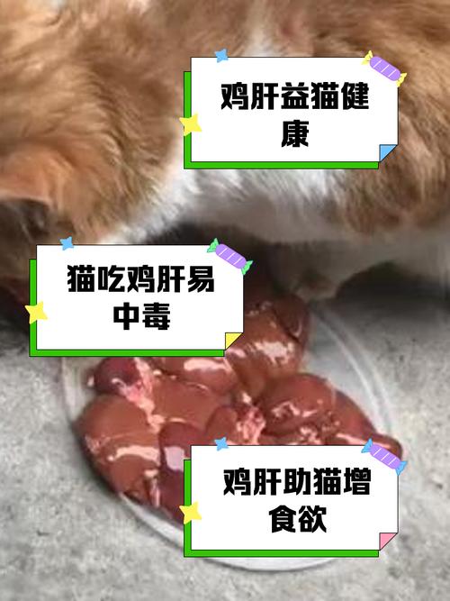 猫吃鸡肝的好处和坏处
