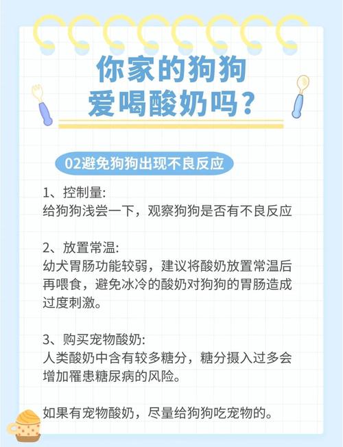 狗狗能喝豆奶吗