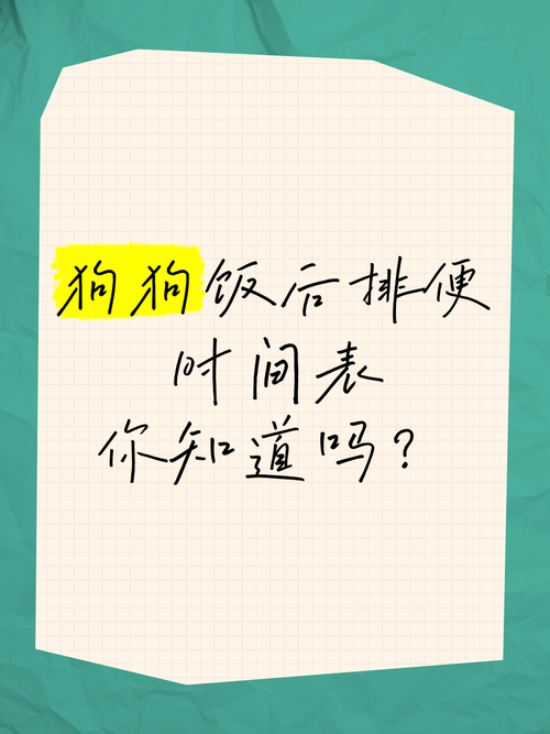 狗狗吃完饭多久排便