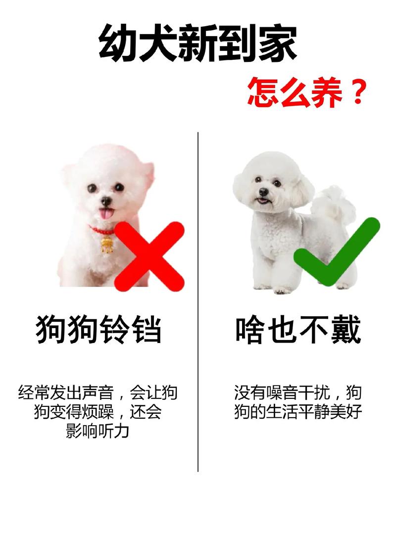 狗狗为什么不能戴铃铛呢