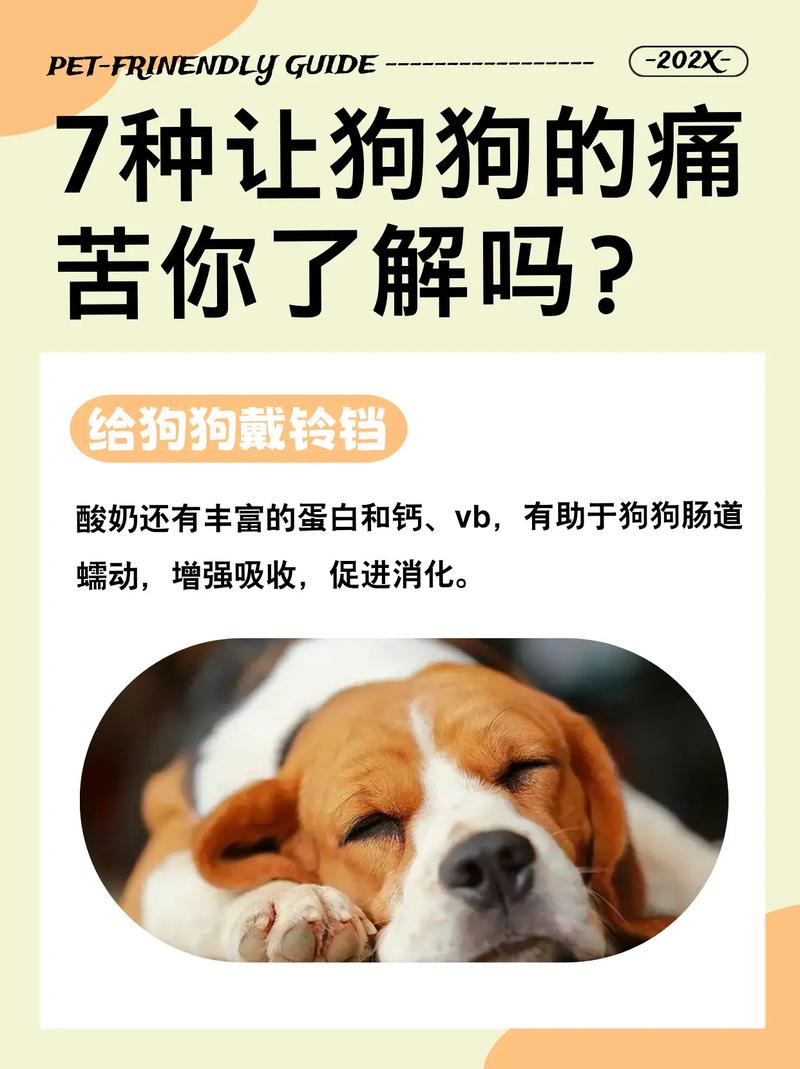 狗狗戴铃铛有什么影响?