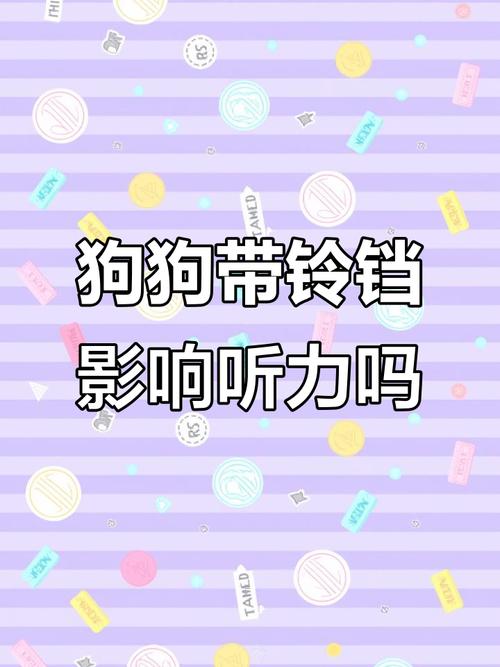狗狗为什么不能戴铃铛