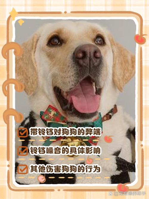 狗狗为什么不能带铃铛