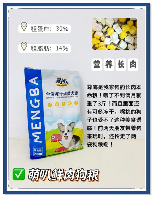 泰迪幼犬吃什么牌子的狗粮比较好