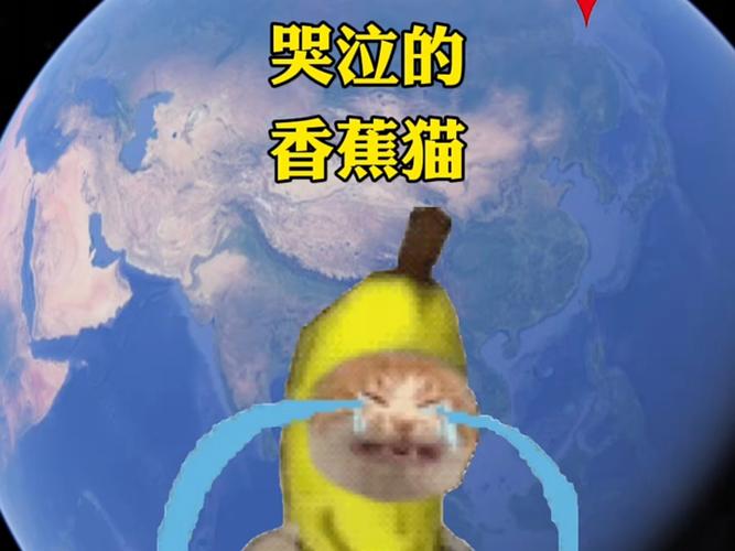 坏了的香蕉猫咪可以吃吗?