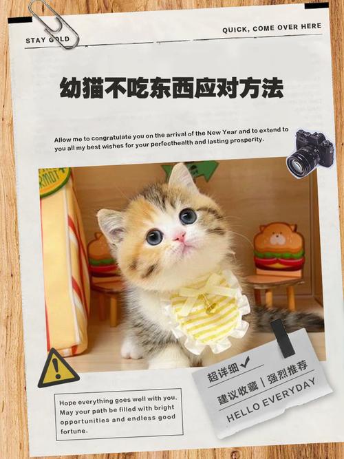 猫能吃香蕉吗