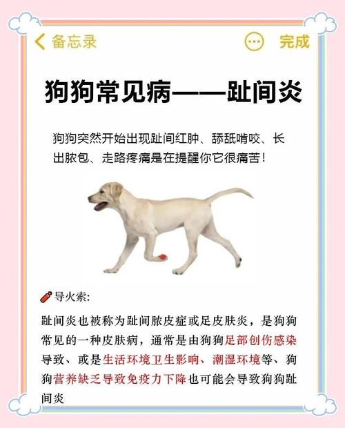 狗狗脚肿了怎么回事